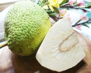 trai sa ke nguyen lieu lam mon chay