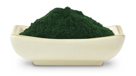 tao spirulina – dinh duong ly tuong cho nguoi an chay