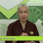 Món chay 226 – Chả đậu xanh