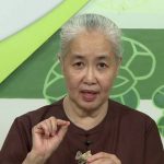 Mon chay 197 – Mì căn xào nấm mèo